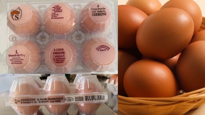 Uova fresche Serroni confezioni da 6 plastica